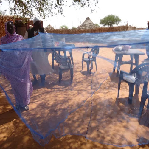 mosquito nets(1)
