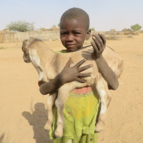 Boy with Goat (edited-Pixlr)