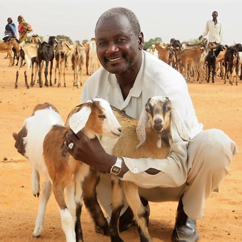 Man smiling with 2 goats - good photo (edited-Pixlr)