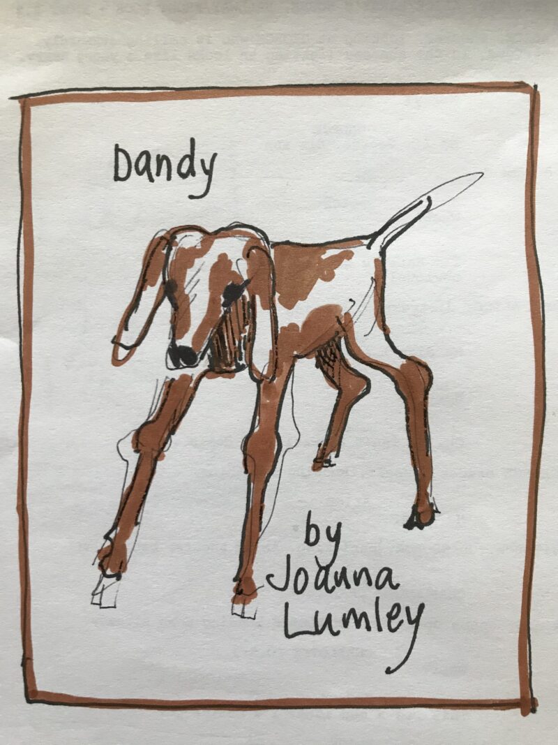 Dandy-the-Goat-Joanna-Lumley-scaled