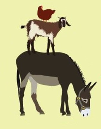 Donkey Goat & Chicken